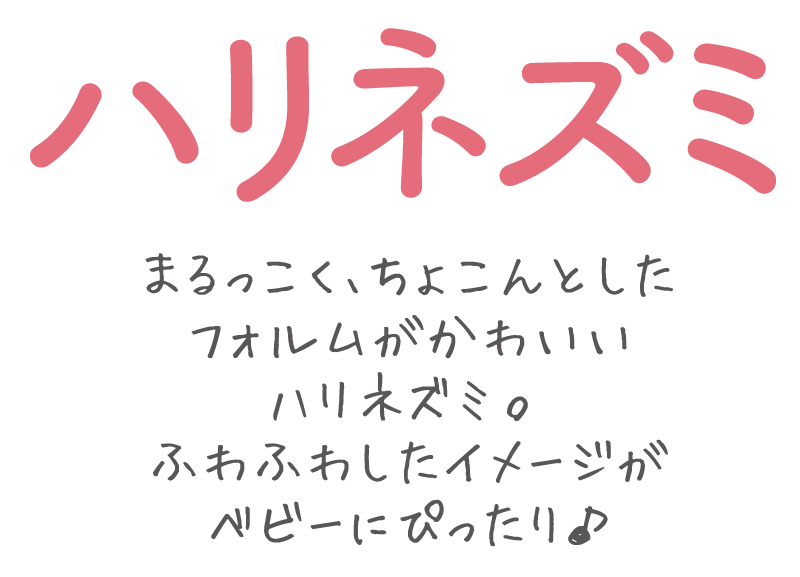 はりねずみ