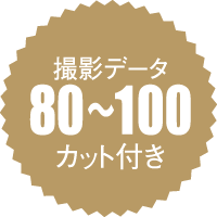 撮影データ80〜100カット付き